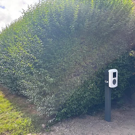Lägenhet Altes Friesenhaus Ost Morsum (Sylt)